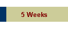 5 Weeks