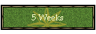 5 Weeks