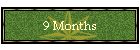 9 Months